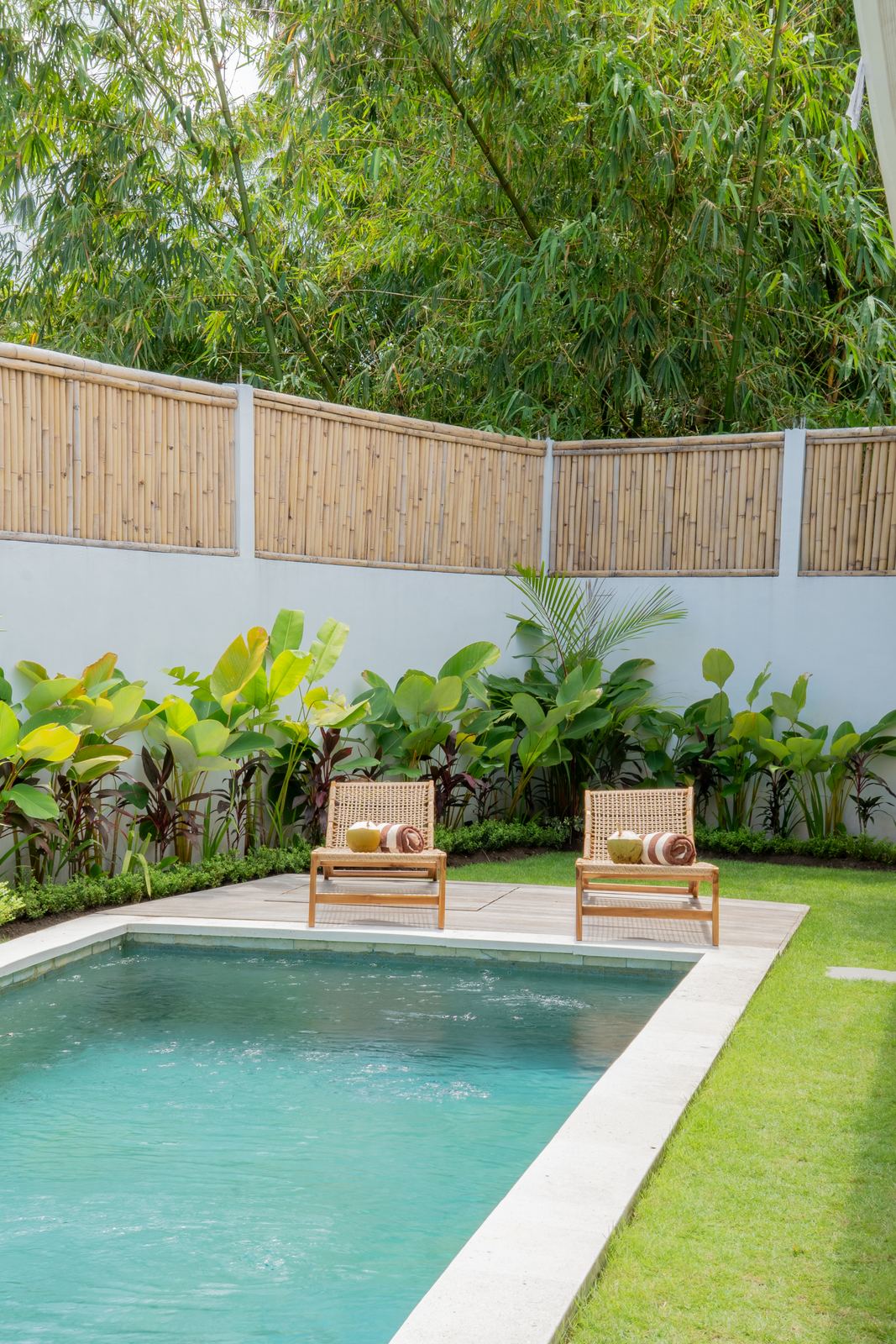 Pool framed by tropical plants